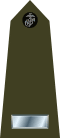 US Marine O2 shoulderboard vertical.svg