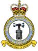 RAF Coltishall badge
