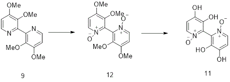 This scheme shows another alternative route for the synthesis of orellanine done by Tiecco, M., et al. in 1985.