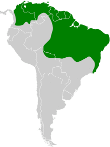 Formicivora grisea map.svg