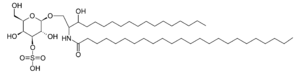 Sulfatide.png