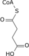 Succinyl-CoA wpmp.png