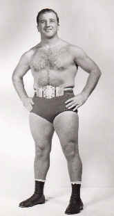 Michael DiBiase.jpg