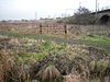 Walthamstow Marshes - geograph.org.uk - 93325.jpg