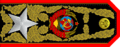 Project of the Generalissimo of the USSR's rank insignia - Variant 5.png