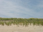 Delaware Beaches State Park.jpg