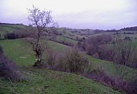 Stcatherinesvalley.jpg