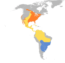 Progne subis map.svg
