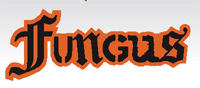 FungusXM53.JPG