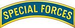 SpecialForcesTabMetal.jpg