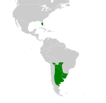 Myiopsitta monachus map.svg