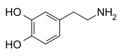 Chemical diagram of the structure of a dopamine molecule.