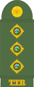 TaT-Army-OF-2.svg