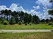 Tall Pines State Preserve - July 2017.jpg