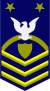 USCG MCPOCG (reserve).svg