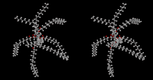 Olestra stereo animation.gif