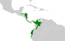 Picumnus olivaceus map.svg