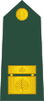 18-Slovenian Army-BG.svg
