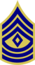 US Army 1948 1SGT Combat.png