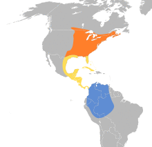 Contopus virens map.svg