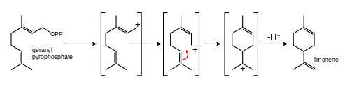 center[Biosynthesis of limonene from geranyl pyrophosphate