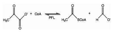 PFL reaction.jpg
