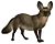 Dogs, jackals, wolves, and foxes BHL19827472 white background.jpg