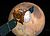 PIA07500.jpg