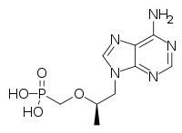 Mbg inc.Tenofovir.svg