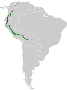 Grallaria squamigera map.svg
