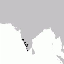 PycnonotusPriocephalusMap.png