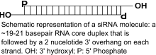 SiRNA Structure2.svg