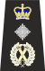 Met Commissioner Eppaulette.svg
