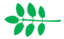Leaf morphology odd pinnate.png