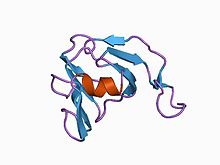 PDB 1bhu EBI.jpg