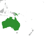 Pygopodidae distribution.svg