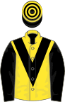 Yellow, black chevron and sleeves, black and yellow hooped cap
