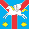 Flag of Zhmerynka