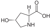 (2S,4R)-4-Hydroxyprolin.svg