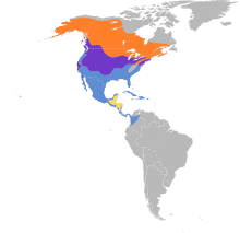 Circus hudsonius map.svg