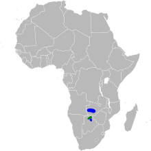 Egretta vinaceigula map.svg