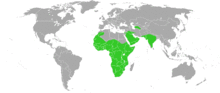 Mellivora capensis distribution.png