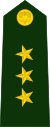 Colombia-Army-OF-2.svg
