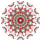6-cube t01.svg