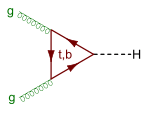 Gluon fusion