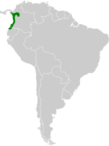 Chlorothraupis olivacea map.svg