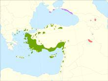 Pinus brutia range.svg