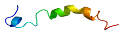 Protein PTHLH PDB 1bzg.png