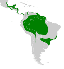 Spizaetus melanoleucus map.svg