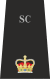 Wiltshire Supt.svg